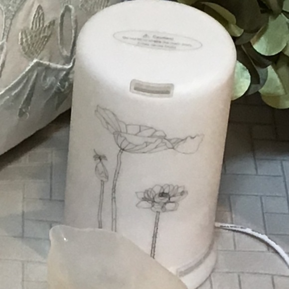 Diffuser - Picture 3 of 3